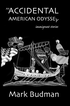 an accidental american odyssey